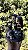 Casal + 5 Pets - Imagem 3