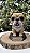 Pet Personalizado + nome - Imagem 1