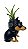 Vaso Pinscher suculentas - Imagem 2