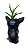 Vaso Pinscher suculentas - Imagem 3
