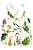 Blusa em viscose com alças estampa tropical - Imagem 5