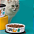 Tupperware Pratinho Petiscos 500ml - Imagem 2