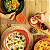 Tupperware Kit 4 Tigelas Murano Cactos e Suculentas 4,3L + 2,5L + 1,3L + 200ml - Imagem 5
