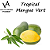 ESSÊNCIA TROPICAL MANGUE VERT VA CANDLE - Imagem 1