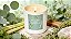 ESSÊNCIA EUCALYPTUS AND LEMONGRASS VA CANDLE - Imagem 4