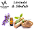 ESSÊNCIA LAVANDA E SANDALO VA CANDLE - Imagem 1