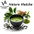 ESSÊNCIA NATURE MATCHA VA CANDLE - Imagem 1