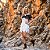 Fantasia Wilma Flintstones Veludo Adulto - SOMENTE ALUGUEL - Imagem 1