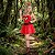 Fantasia Angry Birds Red Adulto - SOMENTE ALUGUEL - Imagem 1