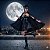 Fantasia Zorro Feminina Brilhante Adulto - SOMENTE ALUGUEL - Imagem 1