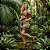 Fantasia Pocahontas Luxo Adulto - SOMENTE ALUGUEL - Imagem 1