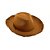 Chapéu Woody Adulto - Imagem 1