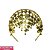 Tiara Cigana Moedas - Imagem 1