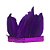 Tiara Melindrosa Penas - Imagem 3
