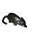 Rato Gosmento - Imagem 1