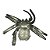 Aranha Caranguejeira - Imagem 2