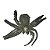 Aranha Caranguejeira - Imagem 1