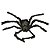 Aranha Peluda Média - Imagem 1