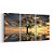Mosaico 03 Peças Canvas  Pintura "Árvore Centenária" - Imagem 3