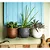 Vaso Plastico Concept Redondo Carrara N1 Japi - Imagem 2