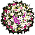 Coroa de Flores Grande 1,20 x 1,00 Funeral Morumbi Homenagem - Imagem 1