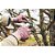 Luvas para Jardinagem Tramontina em Algodão Colorida - 78032801 - Imagem 4