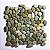 Seixo Telado Verde (Venda por tela de 30x30) - Imagem 1