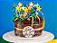 Naked Brownie - Copa do Mundo - Imagem 1