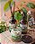 Kit Bamboo - Vela + Home Spray + Difusor - Imagem 1