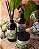 Kit Bamboo - Vela + Home Spray + Difusor - Imagem 3