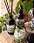Kit Bamboo - Vela + Home Spray + Difusor - Imagem 4