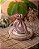 Sample Pack - Kit de amostras - Imagem 3