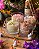 Kit Velas Garden Party - Edição Limitada de Páscoa - Imagem 4