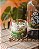 Vela Bamboo - Imagem 1