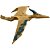 Boneco E Personagem Jw Pteranodonte Básica 30Cm Mattel - Imagem 1