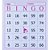 Bloco para bingo Rosa 120x108mm 100f jornal Pct.c/15 6034 Tamoio - Imagem 4