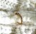 BRINCO PIERCING FAKE SLIM COM ZIRCONIAS BANHADO A OURO 18 K - UNIDADE - Imagem 2