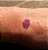 PULSEIRA CORRENTE COM ZIRCÔNIA OVAL PINK EM PRATA 925 - Imagem 1