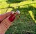 ANEL CHUVEIRO COM ZIRCONIAS CRISTAIS BANHADO A OURO 18 K - Imagem 3