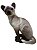 Gato siamês - Imagem 2