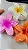 Presilha de Cabelo Flor Havaiana Princesa Fashion grande 8 cm - Imagem 2