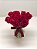Elegância das 12 Rosas Vermelhas - Imagem 3