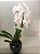 Orquídea Cachepo de Porcelana - Imagem 1