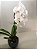 Orquídea Cachepo de Porcelana - Imagem 3
