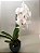 Orquídea Cachepo de Porcelana - Imagem 5