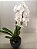 Orquídea Cachepo de Porcelana - Imagem 4