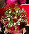 buque 12 rosas com 6 ferrero rocher - Imagem 1