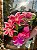 Lirio rosa - Imagem 1