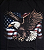 Bandeira Americana - Àguia - Imagem 2