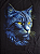 Gato Azul - Imagem 2